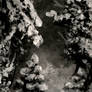 Night in Winter