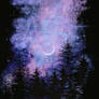 Notte in Viola