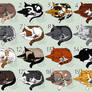 Feline Adopts by 20