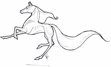 INK - horse in motion lines