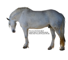 PRECUT Stock - Dapple Grey Horse