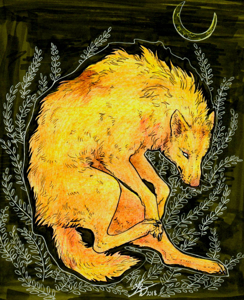 Yellow Wolves Graphics Yellow wolf by Corsac59 on DeviantArt