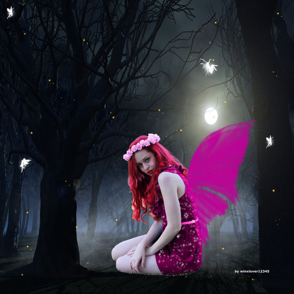 A fairy in the moonlight