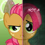 MLP - Two Sides of Babs Seed