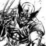 Wolverine