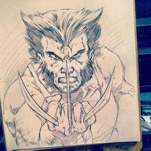 Wolverine warm up