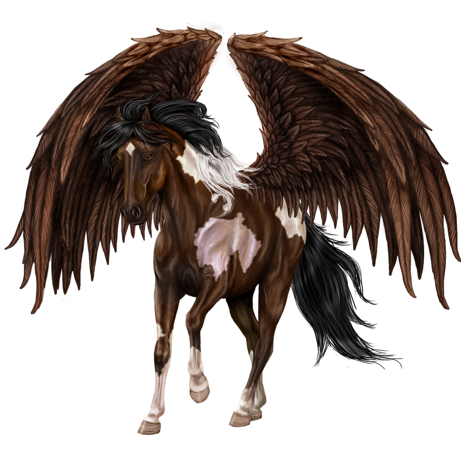 Pegasus