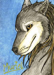 Muriell ACEO by Samantha-dragon