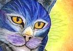 Blue Meow :3 by Samantha-dragon