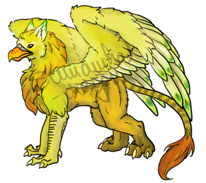Adopt: Gryphon - SOLD