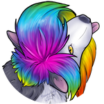 Gift: Silly Coon by Samantha-dragon