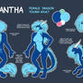 Character sheet: Samantha
