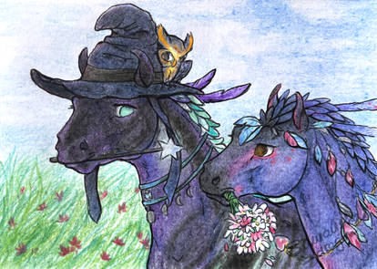 Kuda: Purple Petal Boys