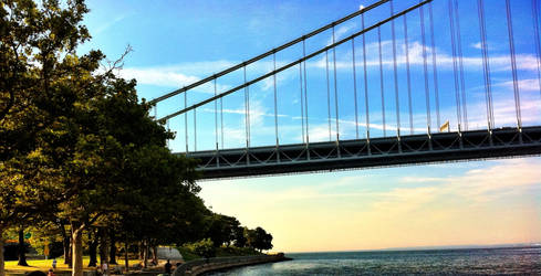 bridge out of tree...