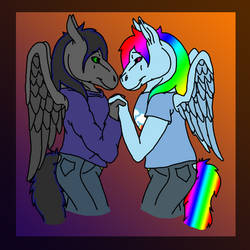 .:Shadow Swift x Rainbow Dash:.