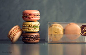 Macarons 6