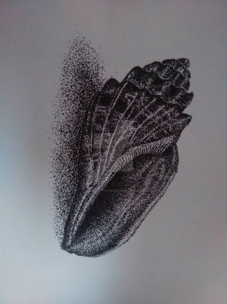 Pointillism Shell by Sweetest-Nina on DeviantArt