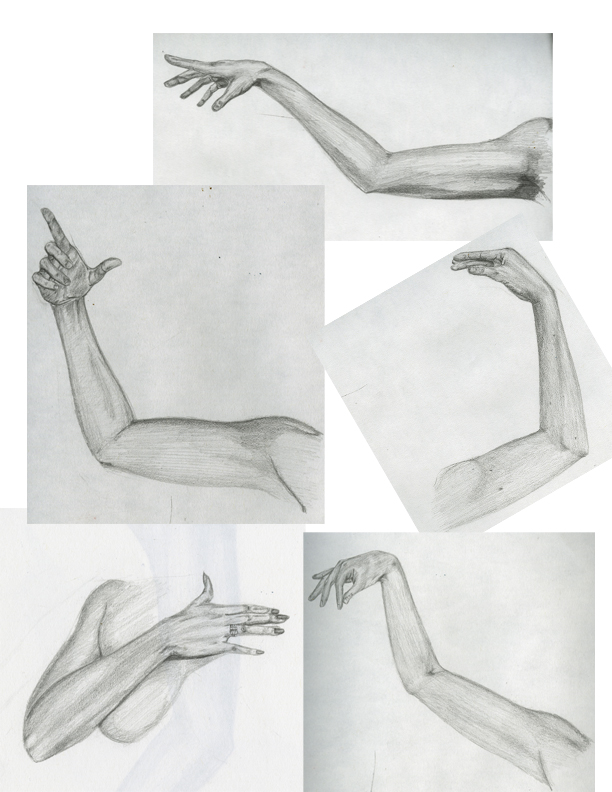 Life Drawing: Arms