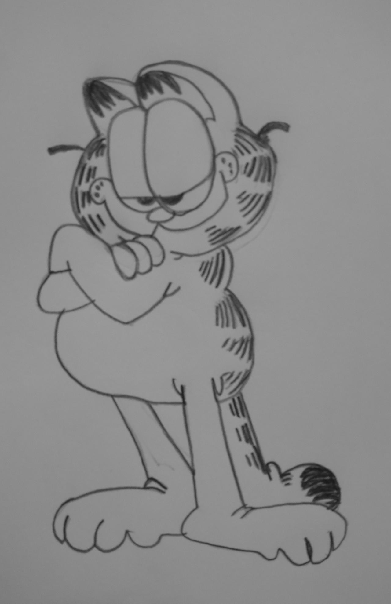 Garfield by DCZ-Samurai-Raven95 on DeviantArt
