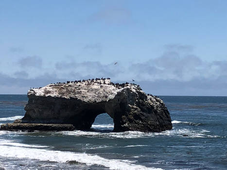 The Last Natural Bridge