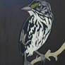 Dusky Seaside Sparrow