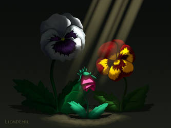 Pansy Family - Entry by LionDEmil