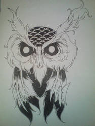 owl