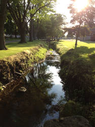 Stream by the Cemetary