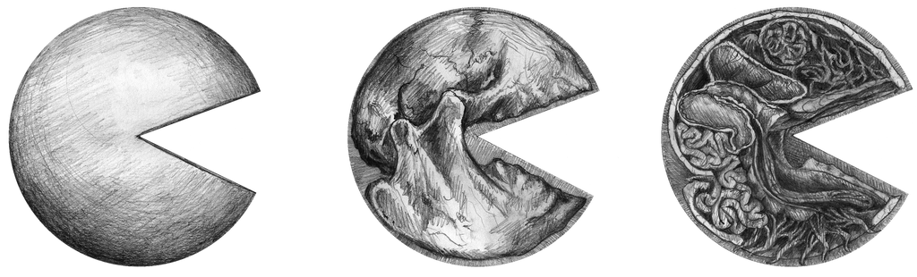 Pacman Anatomy by DarkPsychoKill on DeviantArt