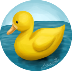 Cute duck