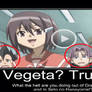 Vegeta and Trunks is in Other Anime