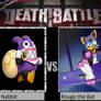 Nabbit Vs Rouge the Bat