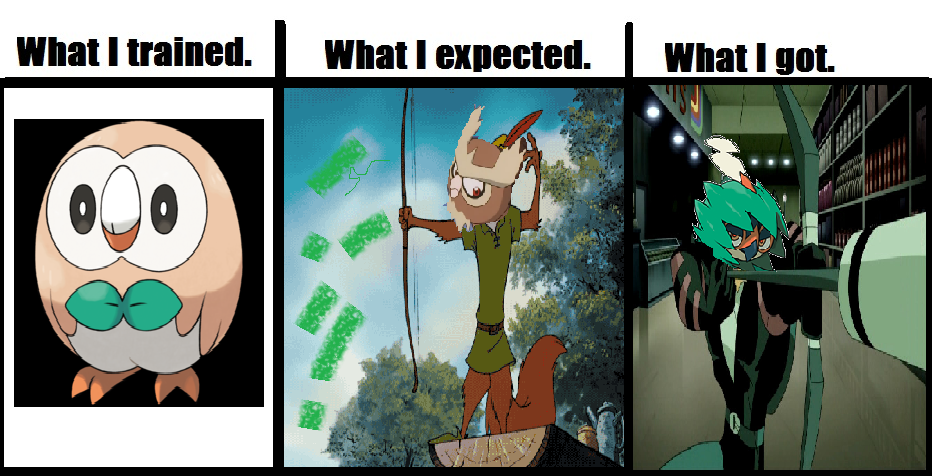 Rowlet Evolution Inbetween Rowlet's Evolution in a nutshell by MagicalKeyPizzaDan on DeviantArt