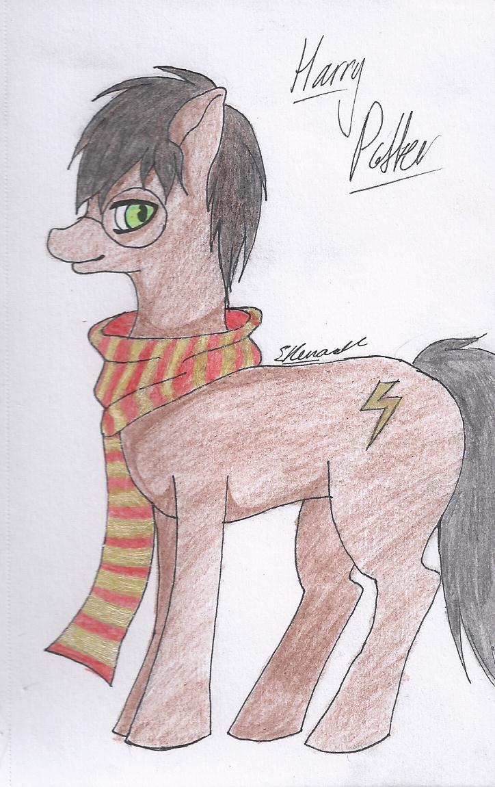 Harry Potter pony