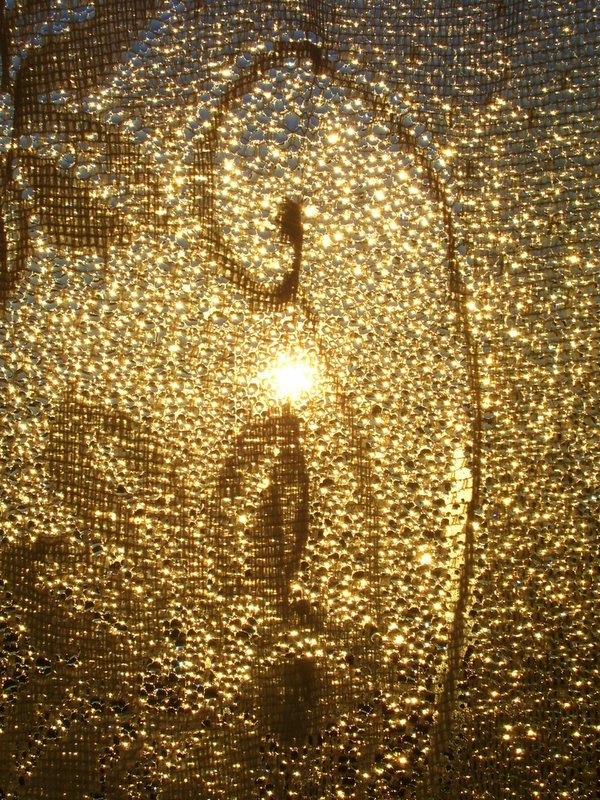 Waterdrops on the window