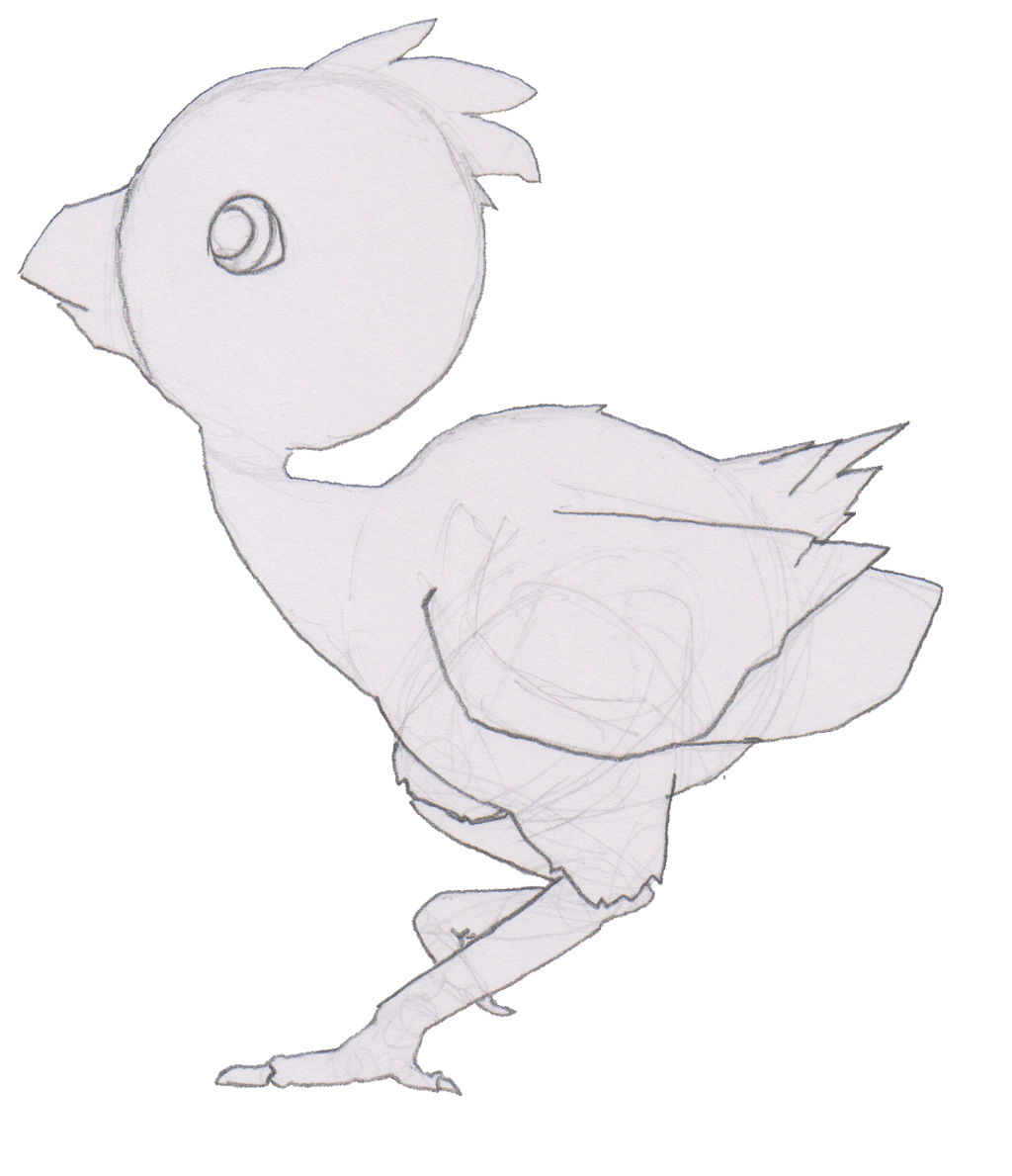 Bird Sketch