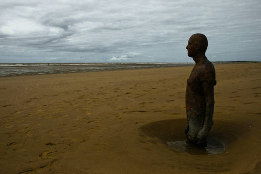 Installation on Crosby Beach