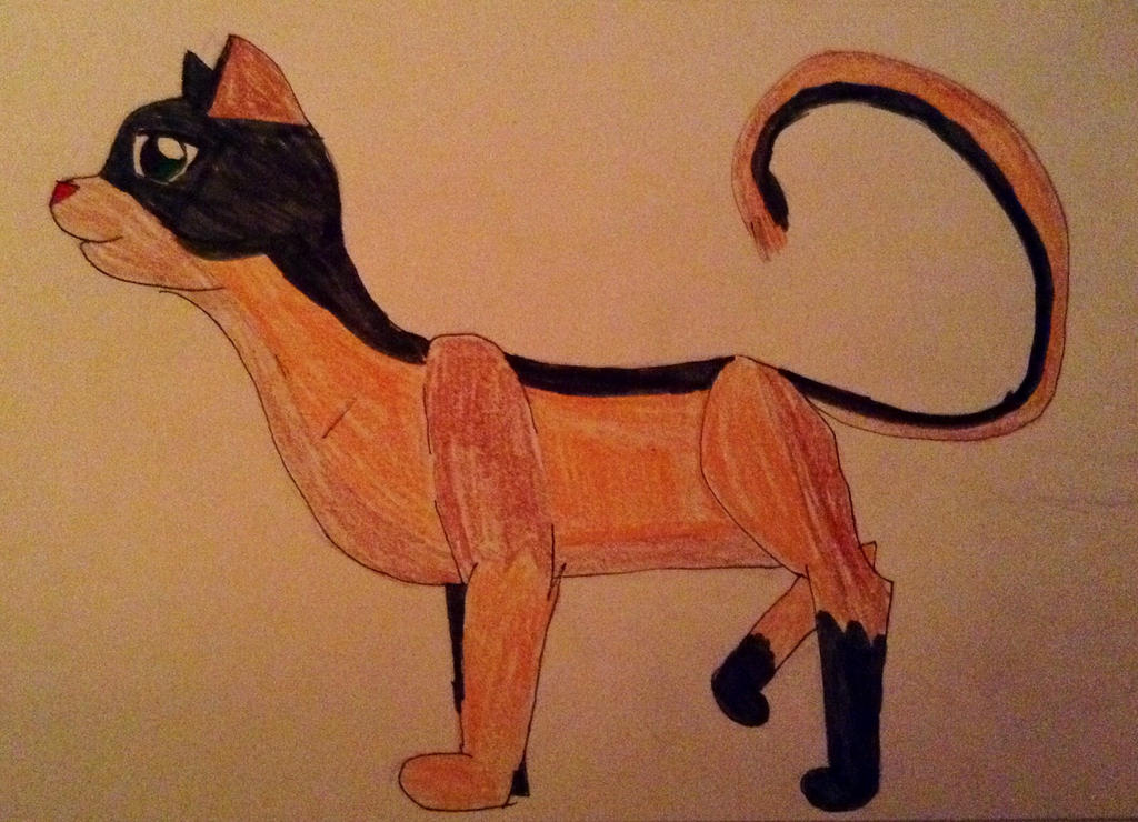 Random kitty by capptl on DeviantArt