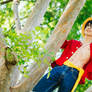 Monkey D. Luffy cosplay