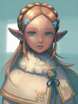 Winter Zelda