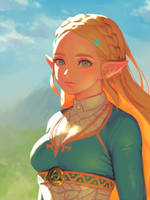 BotW Zelda(3)