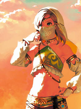 Gerudo Link(2)