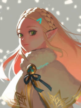 Winter Zelda(2)