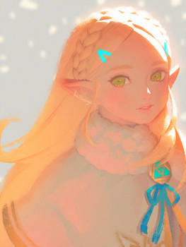 Winter Zelda(3)