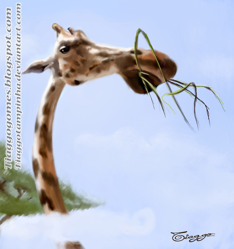 Girafinha