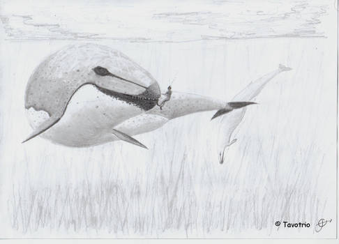 Basilosaurus