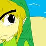 Wind Waker Hero