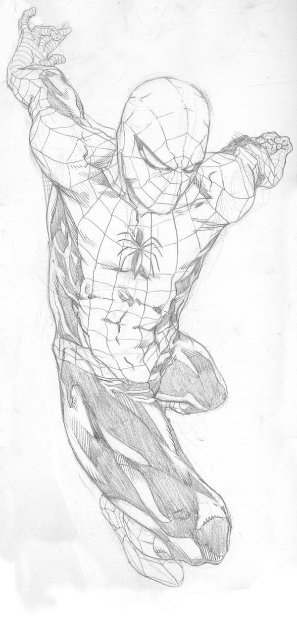 Spider Sketch part1