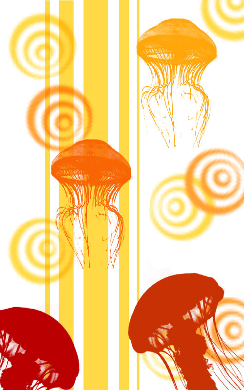 Jellyfish