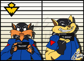 Swat Kats: Mugshots